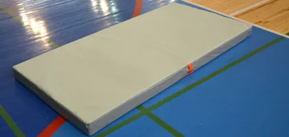 Спортивные маты НПЭ для залов и единоборств — МОСФОЛ